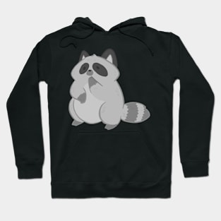 Raccoon Hoodie